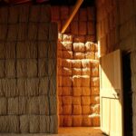 Pavilion Construction Howard: Outdoor Rooms for Year-Round Living