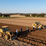 Forest Mulching in Alvarado TX for Invasive Species Removal